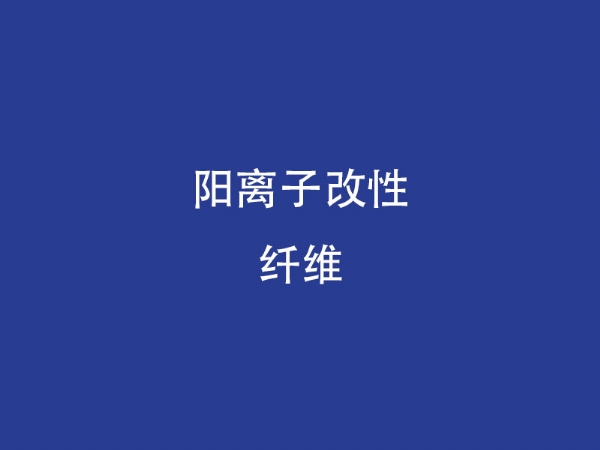 陽(yáng)離子改性纖維